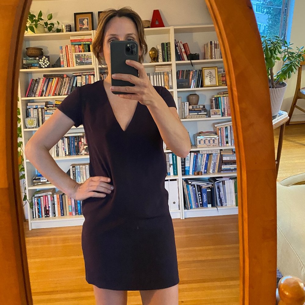 COPY - Aritzia / Babton aubergine purple crepe v-neck minidress with short slee…